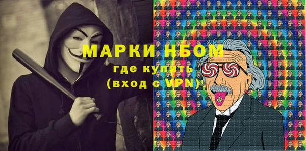 дмт Богородск